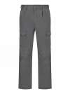 GR91L Eco Workwear Cargo Trouser Long Grey colour image